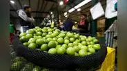 Precio del limón: cuánto cuesta el kilo en Lima y regiones del Perú