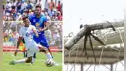 Solo en la Liga 1: captan gran cantidad de abejas en un arco durante el Atlético Grau vs. Alianza Atlético