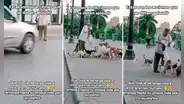 Adulto mayor sorprende al arriesgar su vida para alimentar a perros y gatos: “Qué gran ser humano”