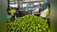Precio mayorista del limón ha caído hasta 54% en lo que va de octubre