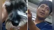 Maltrato animal en SJL: golpean y ahorcan a perrito mientras lo bañaban en veterinaria