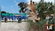 Nueva sede del Parque de las Leyendas: ¿dónde se ubica y cuánto cuestan las entradas?