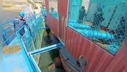 Puno está a punto de quedarse sin agua por reducción del lago Titicaca