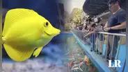 ¿Dónde está ubicado el acuario más grande del Perú y cuánto cuesta el ingreso?