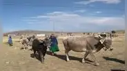 Puno enfrenta ola de calor excepcional que agudiza la crisis hídrica