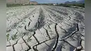 FAO: se han perdido US$3,8 billones en cultivos y ganado por catástrofes en los ultimos 30 años
