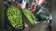 Precio del limón al por mayor retrocede hasta 64% en las dos primeras semanas de octubre