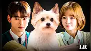 'A Good Day to be a Dog' capítulos 1 y 2 sub español: ¿cuándo se estrenan, a qué hora y dónde verlos?