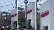 Papa John’s de Miraflores pone su letrero al revés y redes estallan: "Fino para el marketing"
