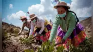 Mujer rural: el rostro invisible de la agricultura familiar
