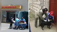 Arequipa: confirman primer caso de rabia humana en la región desde el 2015