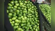 Precio del limón continúa bajando y cae hasta S/3 el kilogramo en mayoristas