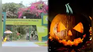 Segat anunció paseo nocturno en Jardín Botánico de Trujillo por Halloween: ¿cuándo y a qué hora?