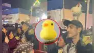 Ciudadano en Ica sorprende con gallina en la cabeza tras furor por patitos kawaii: “Otro level”