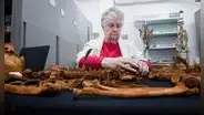Varias ciencias, una sola salud