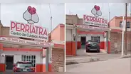 Perriatra, el gracioso nombre de una veterinaria que es viral en redes: “Los atiende una 'dogtora'”
