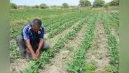 Agricultores preocupados por la seguridad hídrica en reservorios de región Piura