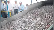 Produce autoriza segunda temporada de pesca en plena captura exploratoria