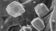 Cristales traídos de la Luna revelan la edad más exacta del satélite