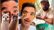 Españoles visitan Cusco y quedan encantados con la carne de alpaca: “Camarero, otro plato”
