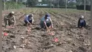 La Libertad: informalidad de productores les impide acceder a ayuda del Estado