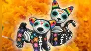 Día de Muertos de Mascotas 2023: ¿a qué hora llegan los animales FALLECIDOS a su altar?