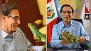 Vizcarra dice que "venderá" peluches de lagarto en Navidad: "Para financiar el partido"