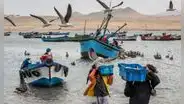 Fenómeno El Niño 2023: ¿qué pescados y mariscos estarán disponibles estos meses?