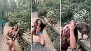 Joven se acerca a mono para tomarse una foto mientras comía, este enfurece y todo termina mal