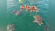 Zona de anidación de tortugas marinas: ¿dónde queda este lugar?