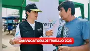 ¿Terminaste la universidad? Sunarp ofrece trabajos con sueldos desde S/1.500
