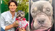 Andrés Wiese: conoce la difícil historia de su perrita Menta y la enfermedad que ahora padece