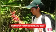 Sernanp abre convocatoria de trabajo para personas con primaria completa: ¡sueldos desde S/1.400!