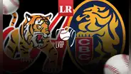 VER GRATIS Leones vs. Tigres de Aragua EN VIVO por la LVBP 2023-24: horario y canal del encuentro