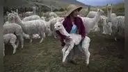 Fenómeno El Niño: darán apoyo económico a agricultores y pobladores de Arequipa