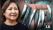 Produce: No se modificará talla mínima de anchoveta ni se aumentará cuota de pesca