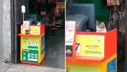 Gatito ‘atiende’ en puesto de la TINKA de PERÚ y usuarios reaccionan: "Si hay mishi, hay suerte"