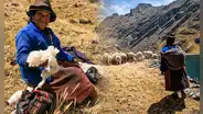Conoce la historia de Clotilda, una adulta mayor que vive sola en las alturas de Áncash