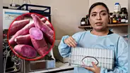 Científica liberteña descubre que tubérculo desacelera crecimiento de tumores cancerígenos: ¿cuál es?