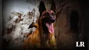 Así fue el instante en que un perro del ejército de Israel atrapa a un soldado de Hamás en un túnel
