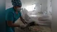 Más de 36.000 contagios y 155 fallecidos por dengue en Lambayeque
