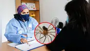 Hospital Cayetano Heredia: especialistas salvan a menor con caso grave de mordedura de araña