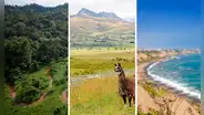 Este es el ÚNICO departamento del Perú que tiene playas, montañas y selva en un solo territorio