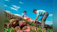 Proponen bono de capitalización agraria de al menos S/1.000 para apoyar a pequeños agricultores
