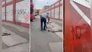 Barristas de la 'U' irrumpieron Videna para protestar designación de Ordóñez y pintaron paredes