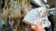 Tipo de cambio: dólar inicia estable sobre los S/3,7657 este martes 7 de noviembre