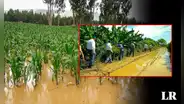 ¿Cuál sería el impacto del fenómeno El Niño en la región Piura?