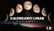 Calendario lunar de noviembre 2023: ¿cuándo habrá luna llena y las otras fases?