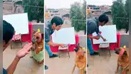Perrita de Huaral sorprende al mostrar sus habilidades matemáticas: "En su vida pasada fue catedrática de la UNI"