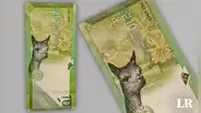 ¿Cuál es la inusual flor que crece en San Juan de Lurigancho y aparece en billete coleccionable de S/10?